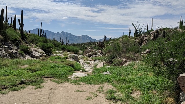 Tucson