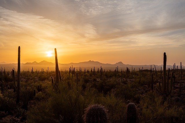 Tucson