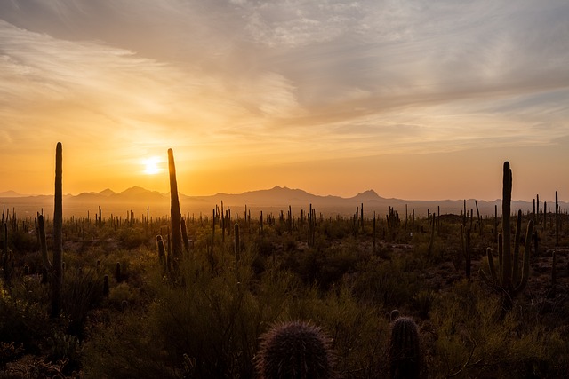 Tucson, Arizona