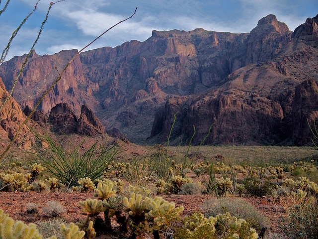 Tucson, Arizona