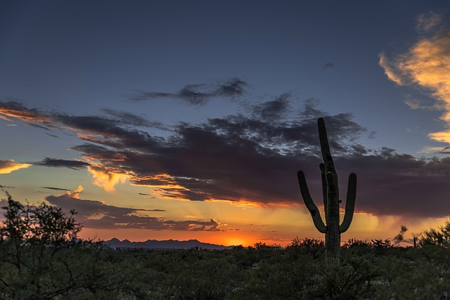 Tucson, Arizona