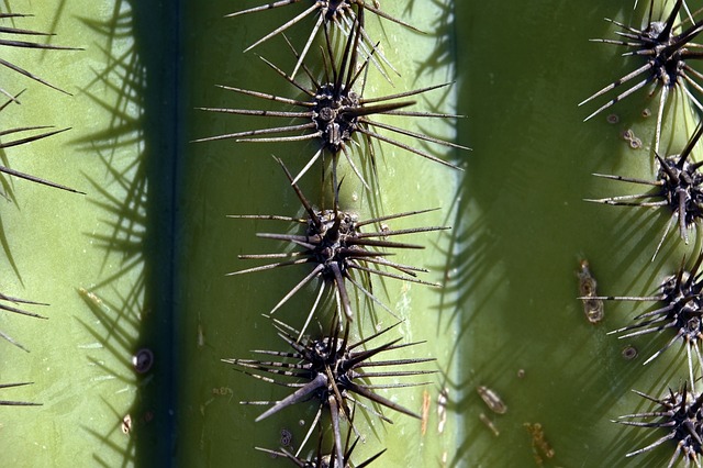 Tucson, Arizona