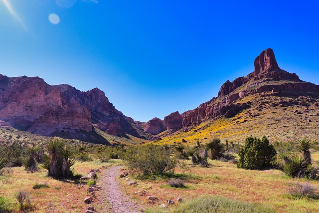 Tucson, Arizona