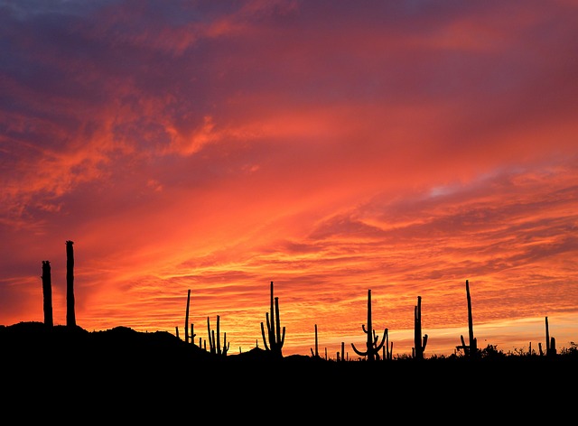 Tucson, Arizona