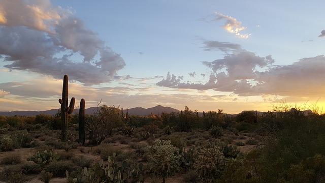 Tucson, Arizona