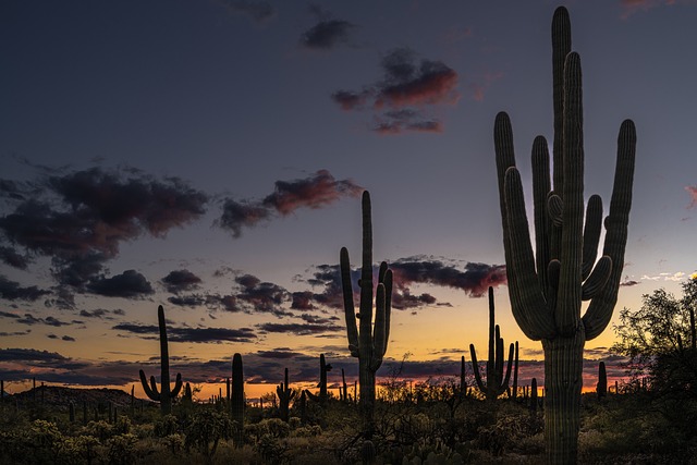 Tucson, Arizona