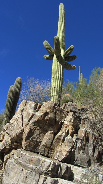 Tucson, Arizona