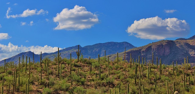 Tucson, Arizona