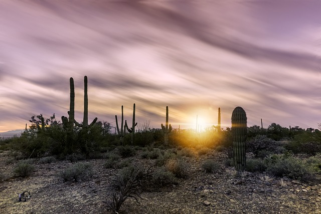 Tucson, Arizona