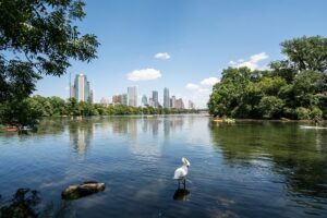 🌟 Austin’s Ultimate Guide to Picnic Spots: Serene Settings and Natural Wonders 🌿