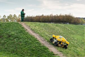 lawn-care-landscaping-640x480-35390706.jpeg