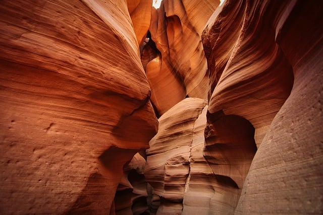 arizona-640x480-18529861.jpeg