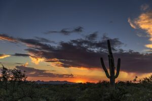 arizona-640x480-18993171.jpeg