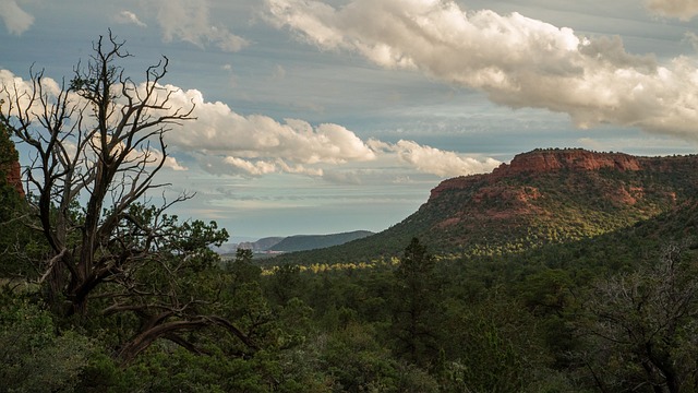 Arizona