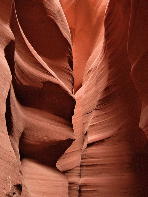 Exploring Arizona's Natural Wonders: Top Activities for Nature-Loving Travelers
