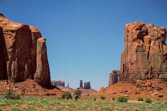 Arizona