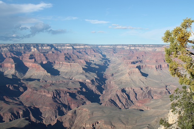Arizona