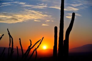 arizona-640x480-689142.jpeg