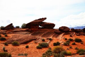 arizona-640x480-69036779.jpeg