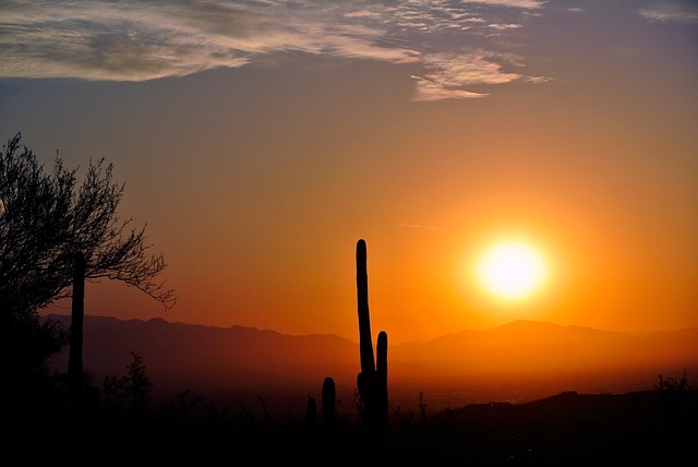 Arizona