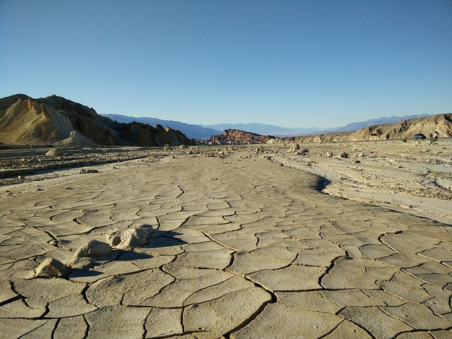 arizona-640x480-90920078.jpeg