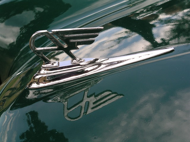 austin-640x480-13737612.jpeg