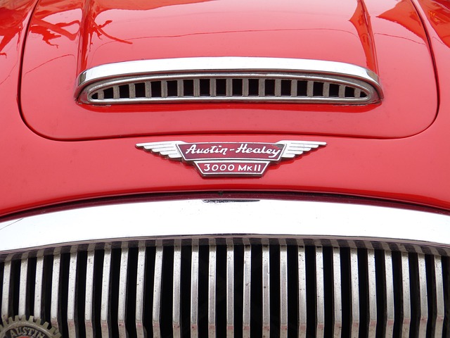 austin-640x480-24686855.jpeg