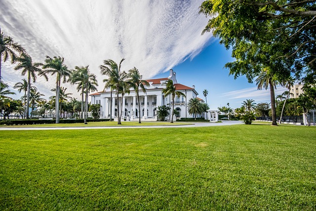lawn-care-landscaping-640x480-23803405.jpeg