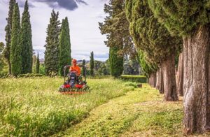 lawn-care-landscaping-640x480-54311141.jpeg