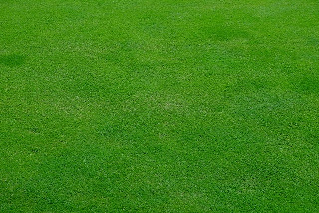 lawn-care-landscaping-640x480-76343321.jpeg