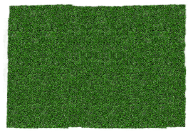 lawn-care-landscaping-640x480-79864985.png