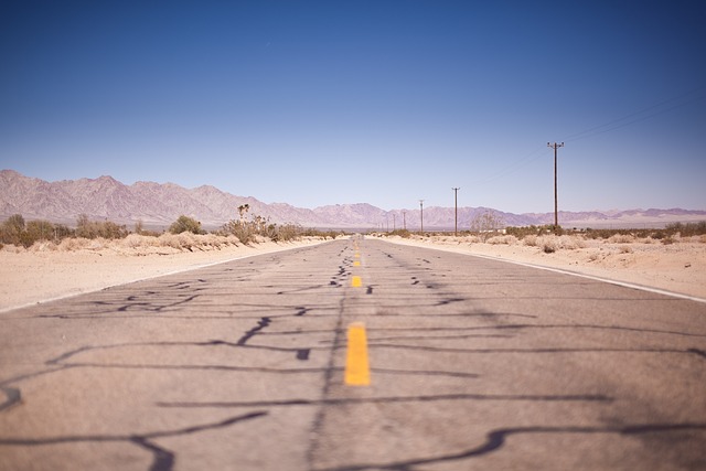 New Mexico