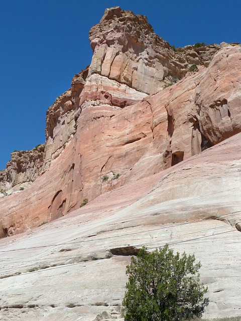 New Mexico