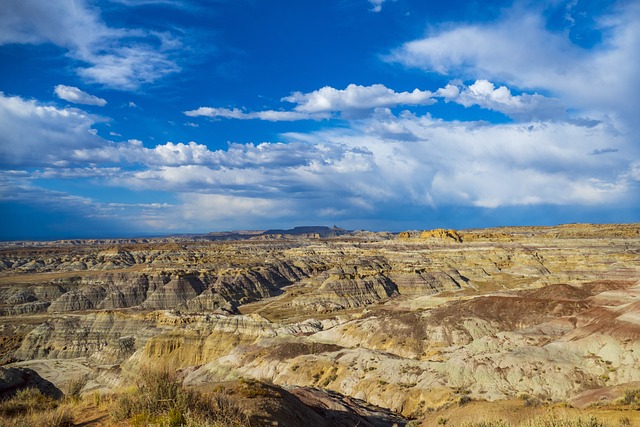 New Mexico