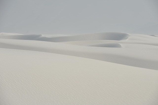 New Mexico