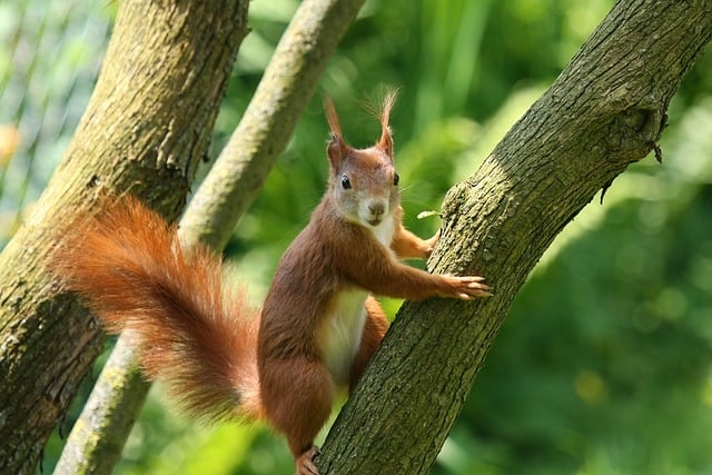 Mastering Pest Behavior: An Educational Approach for Effective Pest Management