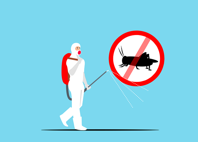 Pest Control, bugs, rodents