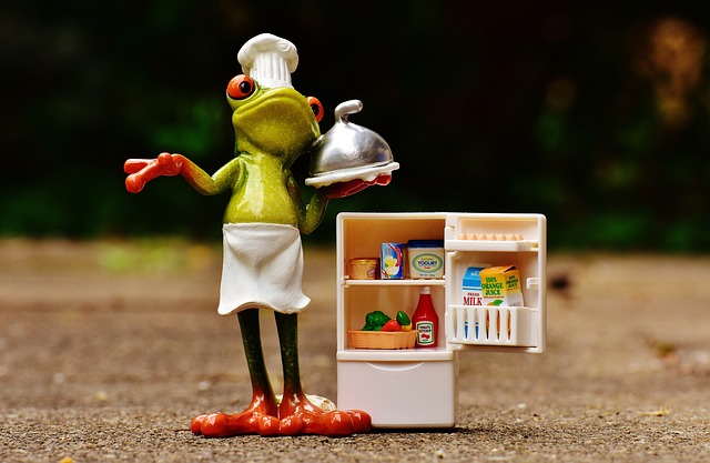 Refrigerator Repair