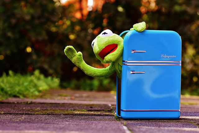 refrigerator-repair-640x480-44332171.jpeg