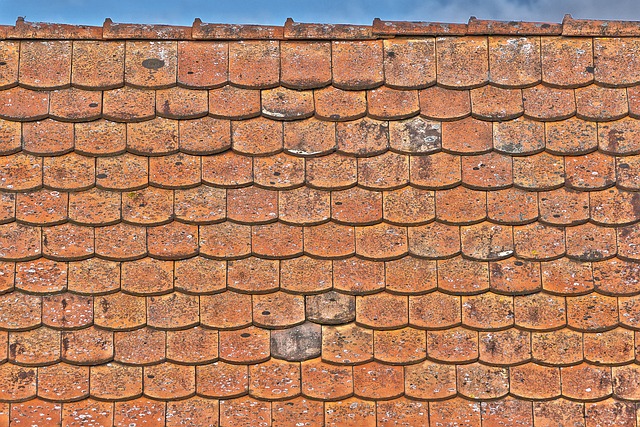Roof Repair, Tucson
