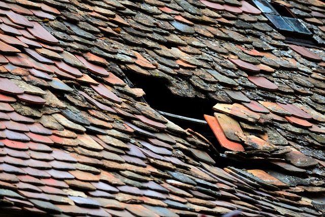 Roof Repair, Tucson
