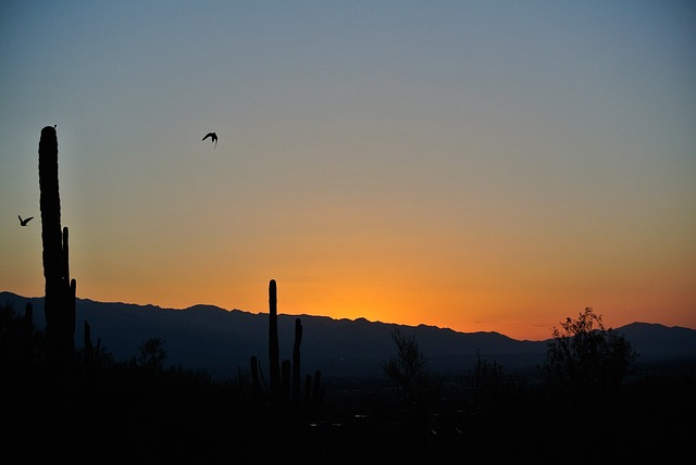 Roof Repair, Tucson