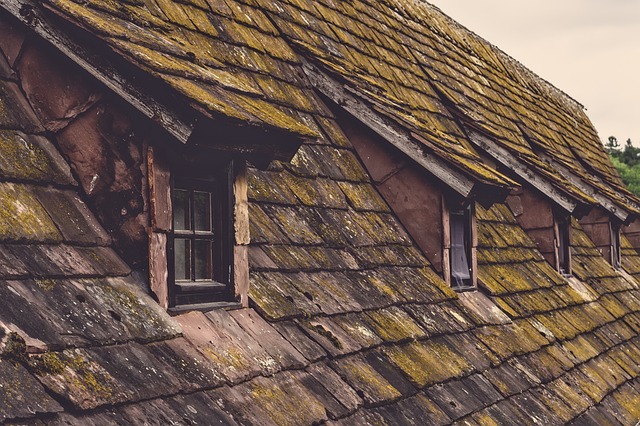 Roof Repair, Tucson