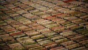 roofing-640x480-10717294.jpeg