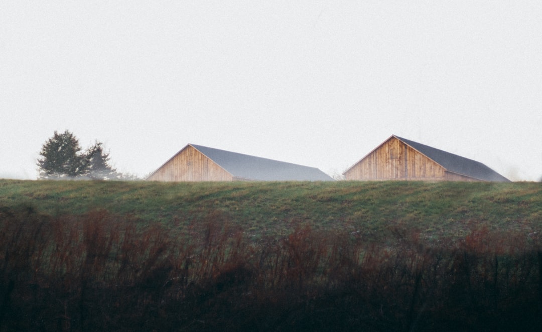 Mastering Roof Health: A Guide to Expert Assessments for Informed Decisions