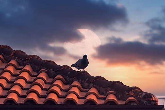 Roofing