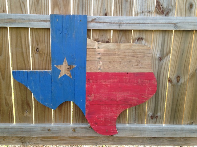 Texas Culture Unveiled: Art, Flavors, and Festivals in the Lone Star State