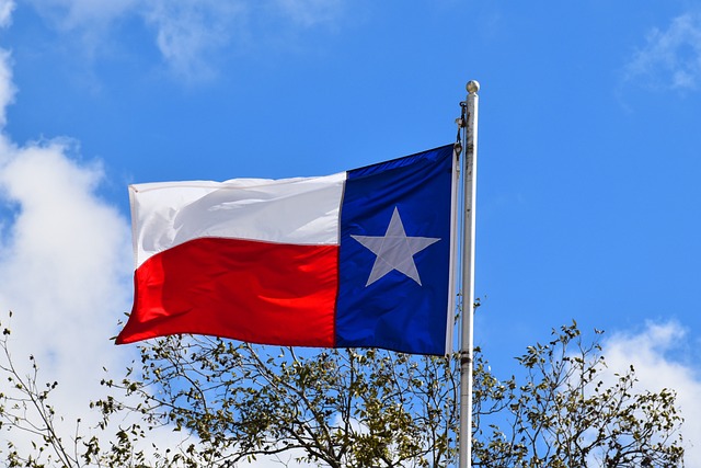 Authentic Texas Tastes: A Culinary Journey Through Local Dining Gems