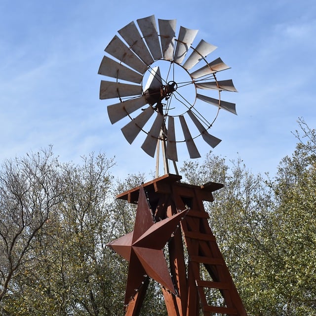 texas-640x480-55841855.jpeg