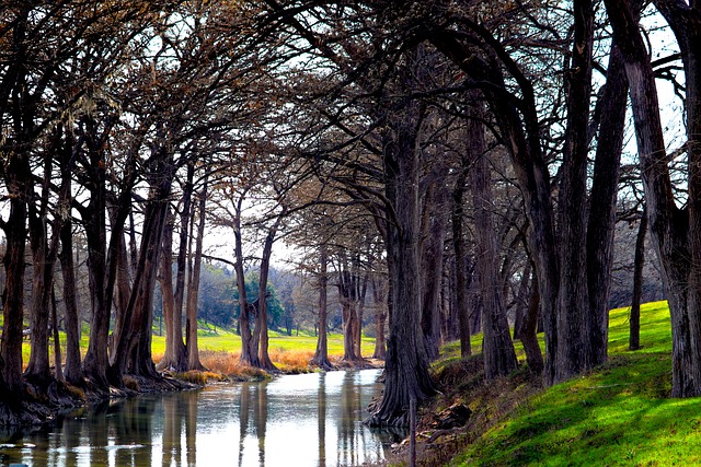Texas